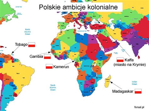  Oceania: Zwierzę o uroku ukrytym w koloniach polipów!